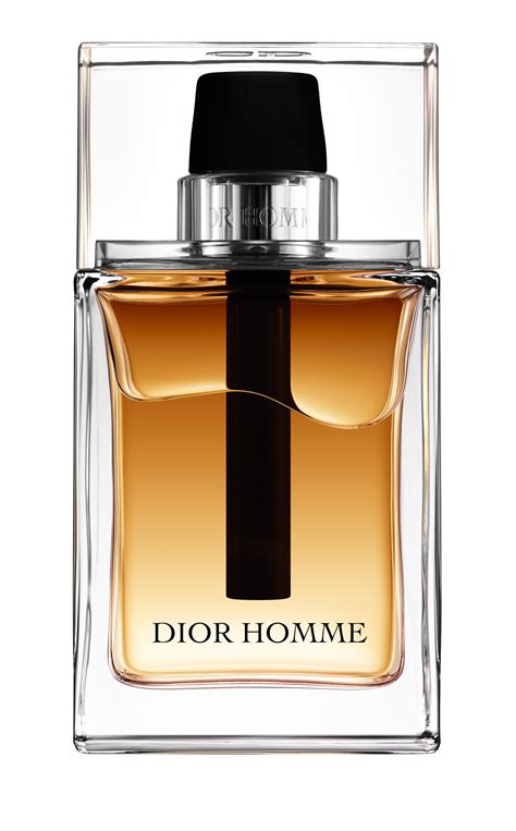 dior homme 2011 aw|Dior Homme vintage.